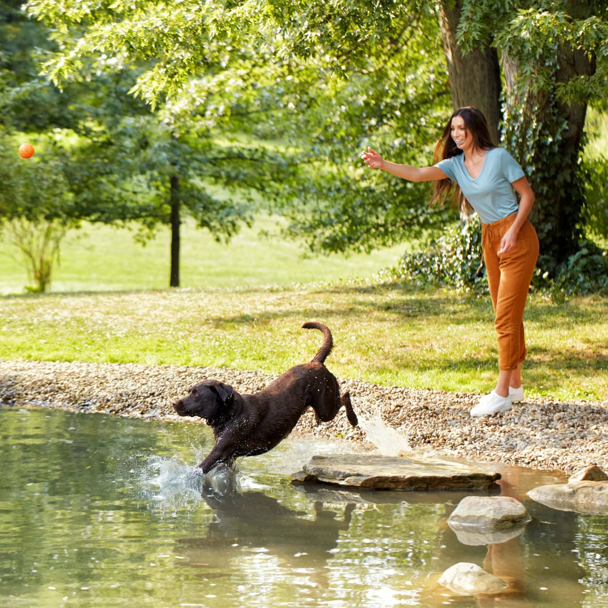 Nature′s Recipe Dry Dog Food, Grain Free Lamb, Sweet Potato & Pumpkin Recipe, 4 lb. Bag