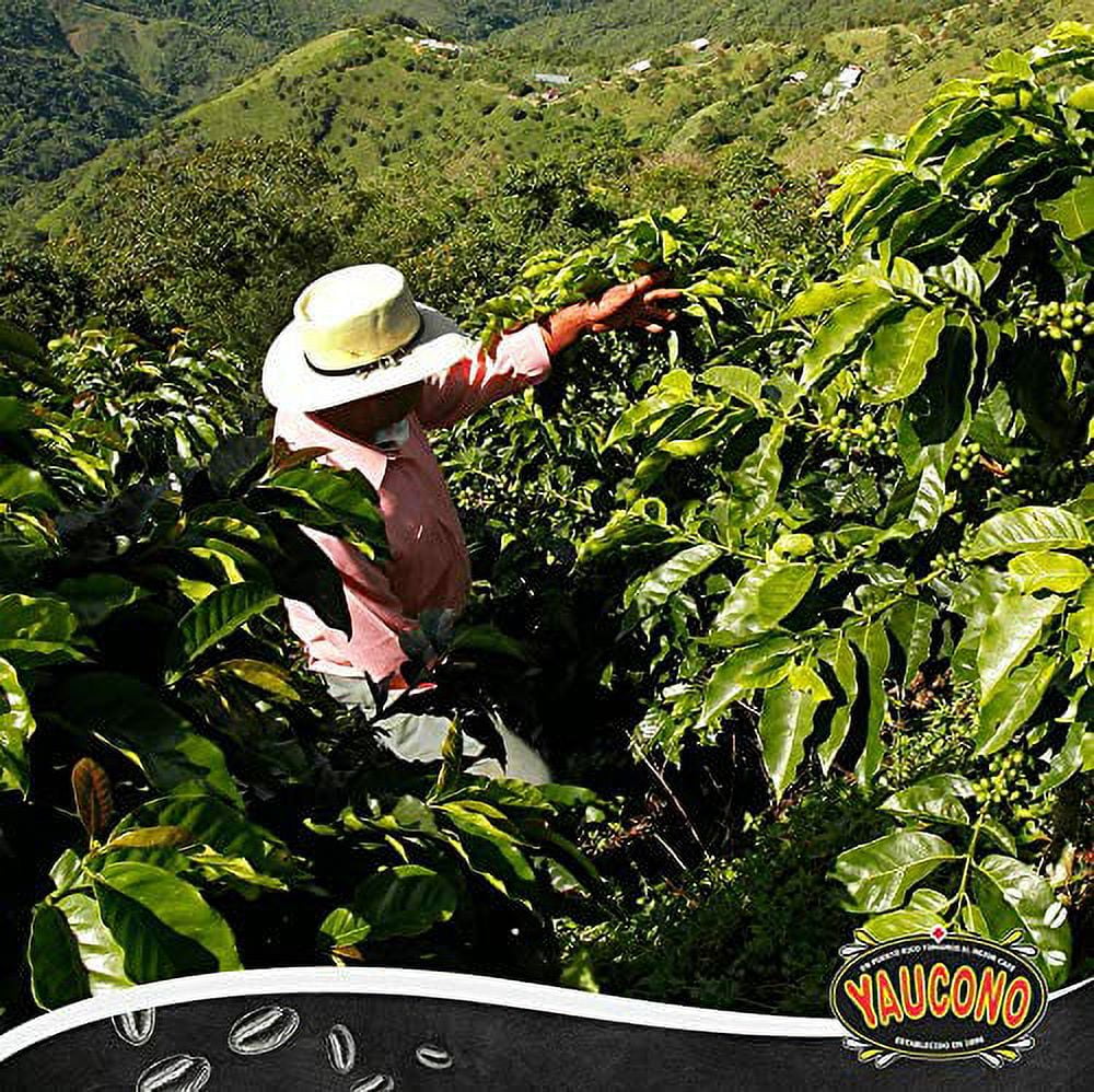 Cafe Yaucono Ground Coffee Puerto Rican, 14 Ounce Bag (Pack of 2)