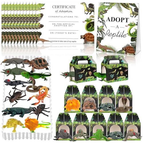 37 Pcs Adopt A Shark Party Favors Adopt Ocean Animal Set Includes 12 Mini Plush Sharks 12 Shark Theme Boxes 1 Sign 12 Adoption Cards Suitable for Shark Week Adoption Ocean Animal Theme Birthday Party