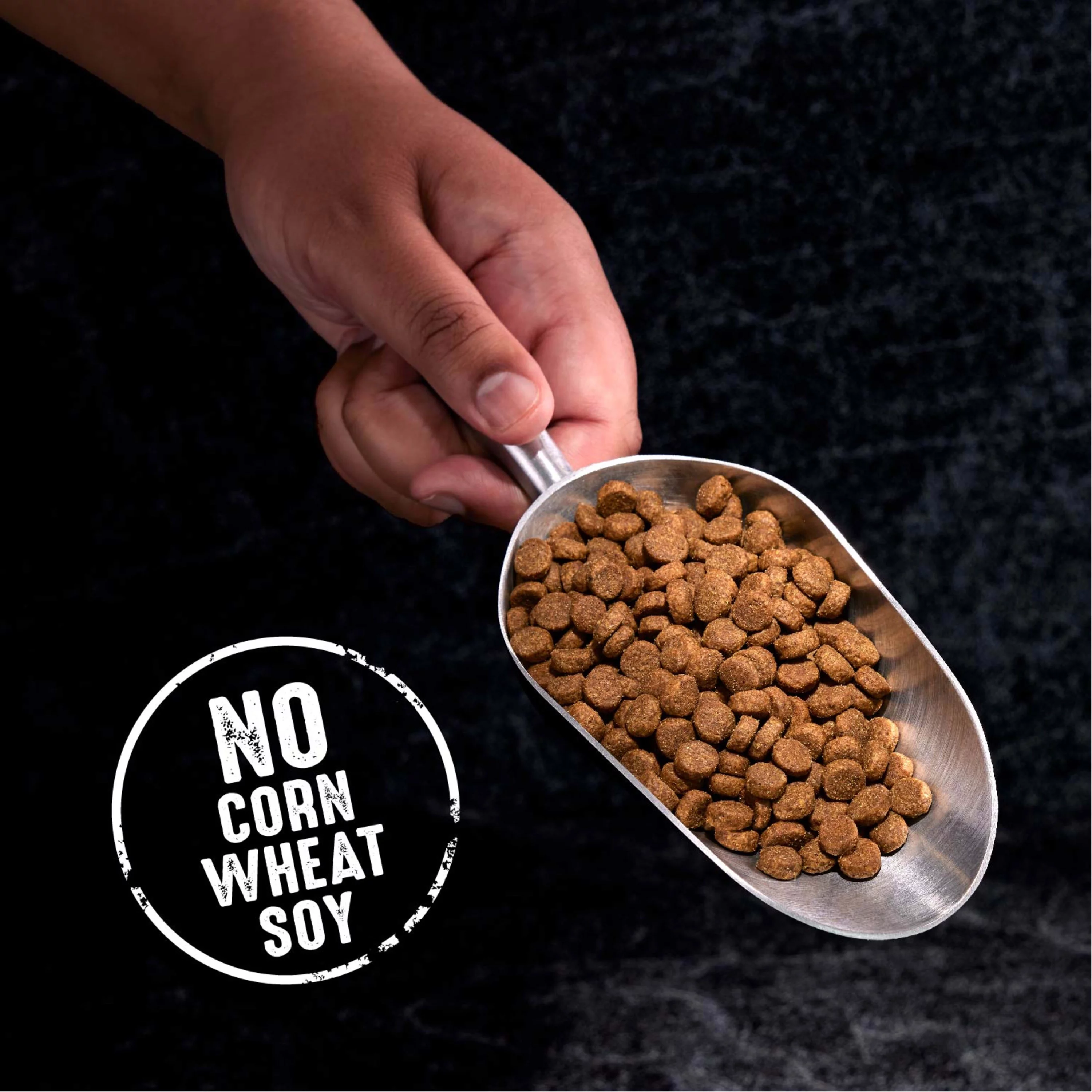 CRAVE Grain Free Adult Dry Dog Food with Protein from Lamb, 12 lb. Bag