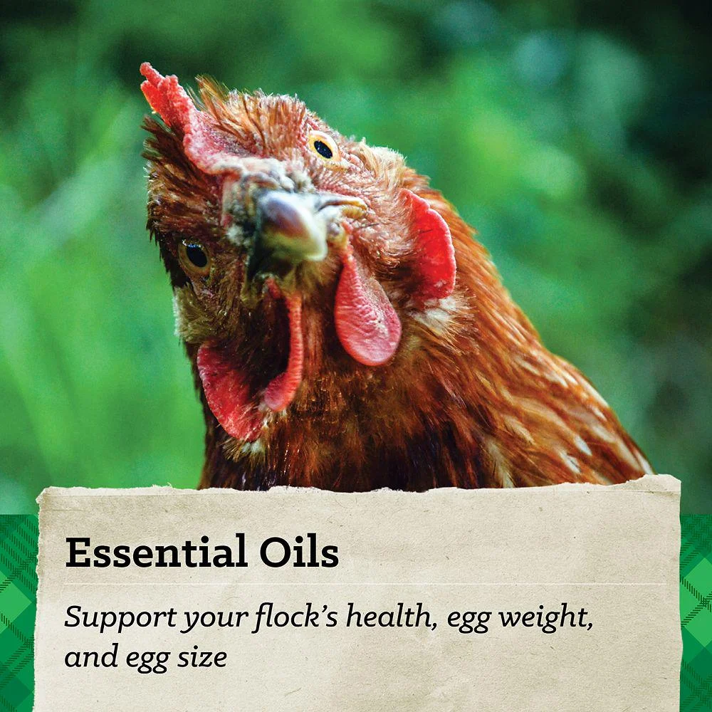 Nutrena NatureWise Feather Fixer Chicken Feed, 40 lb.