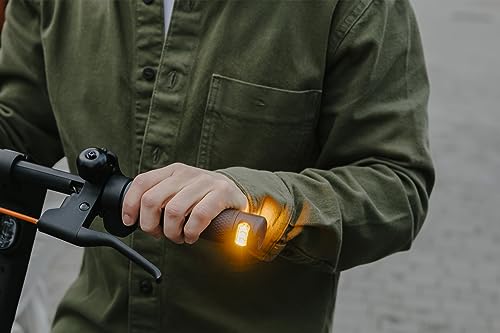 Segway Ninebot F2/F2 Pro Electric Scooter, Up to 20 MPH, Long Range, UL-2271 & UL-2272 Certified