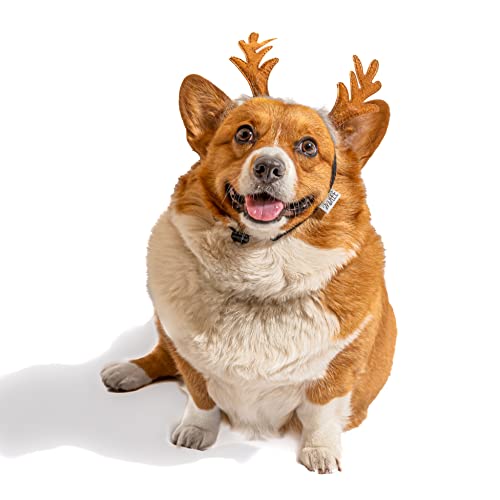 Midlee Furry Antlers Dog Headband
