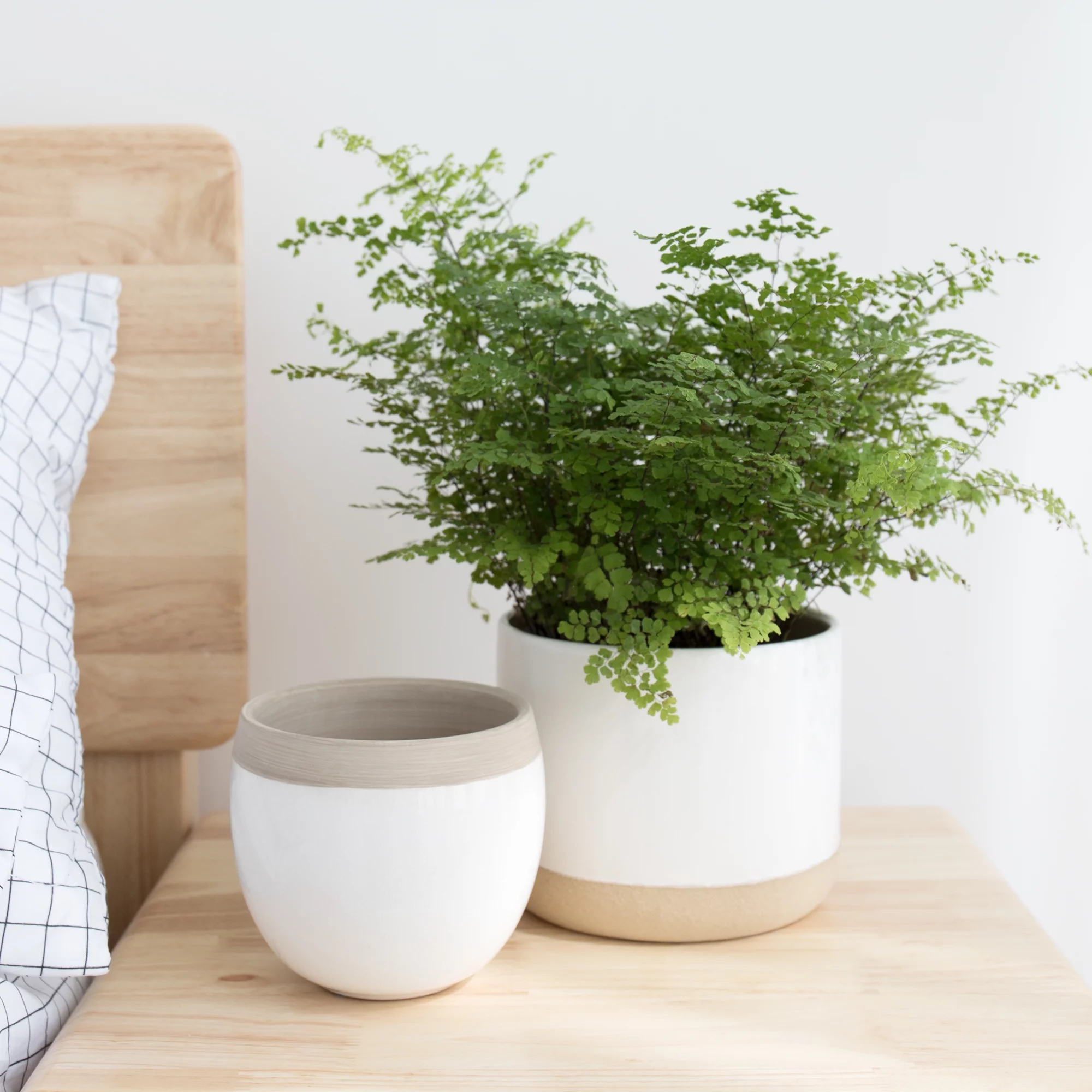 La Jolie Muse White Ceramic Flower Plant Pots - 6.5 + 4.9 Inch Indoor Planters, Plant Containers with Beige and Cracked Detailing