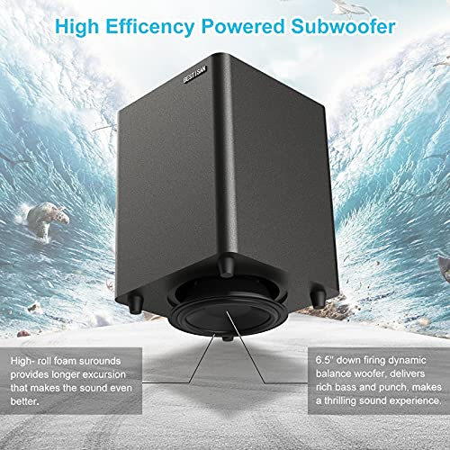 BESTISAN Powered Subwoofer, Deep Bass Sub, Down Firing Subs, Easy Setup with Home Theater System, Receiver, Speakers, Coaxial Cable Included, RCA, LFE, AUX Input, High-Level Speaker Input & Output