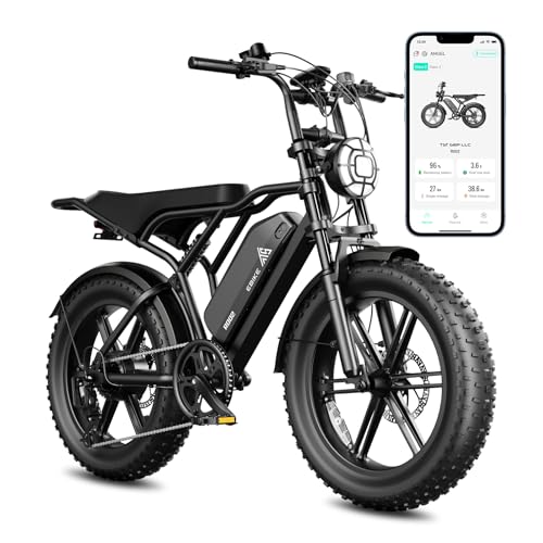 TST Electric Bike for Adults, 1500W Peak Brushless Motor 28 MPH 60 Miles/110 Miles Fat Tire E Bike with 48V 15Ah/ 25Ah Removable Battery 20