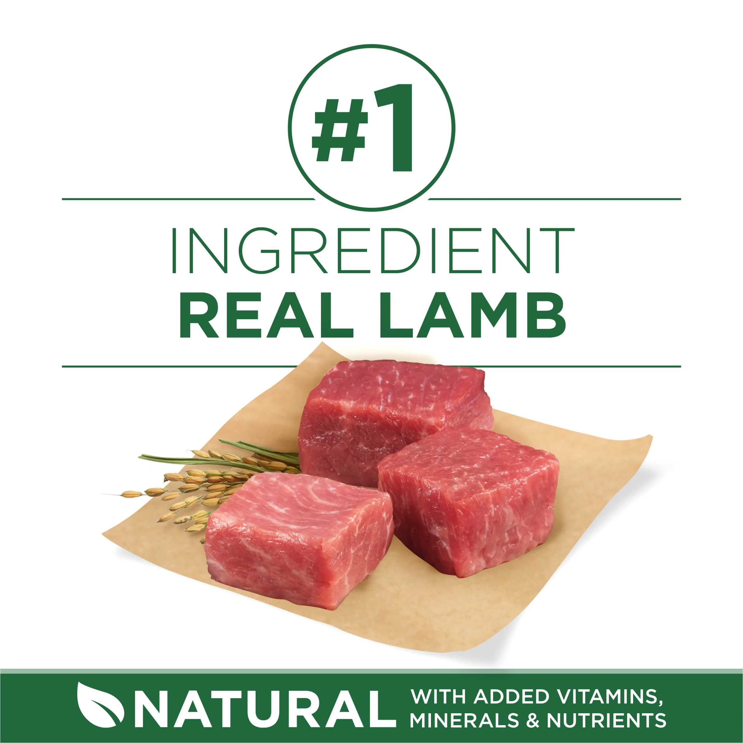 Purina ONE Plus High Protein Adult Dry Dog Food for Small Breeds, Lamb and Rice Formula, 3.8 lb Bag