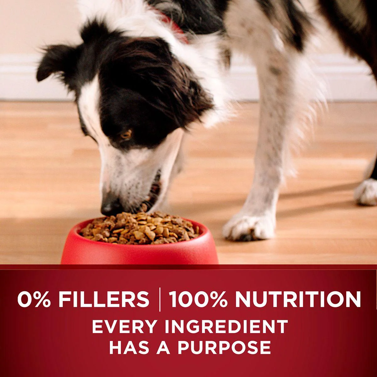 Purina ONE SmartBlend True Instinct Adult Natural Turkey and Venison Recipe Dry Dog Food