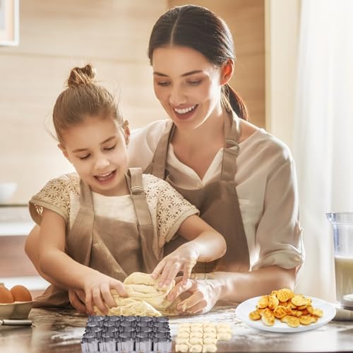 AIERSA Mini Gingerbread Cookie Cutter,Small Christmas Cookie Cutters,1 Inch Tiny Gingerbread Man Shapes Cookie Cutter,20 Cavity Metal Stainless Steel Christmas Cookie Cutters