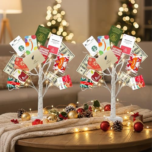EAMBRITE Lighted Birch Tree Christmas Decorations Indoor for Home, 2Pack 24 LED Battery Operated/USB Tabletop Mini Small Artificial White Trees with Lights for Table Mantel Winter Xmas Decor (2FT)