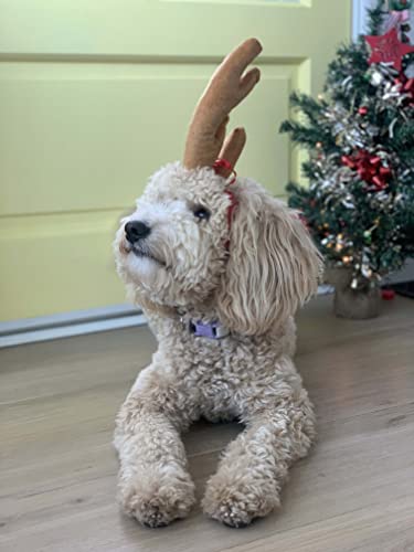 ComfyCamper Reindeer Antler Dog Halloween Costume - Headband Cosplay Christmas Small Medium Large X-Large Puppy Cat, XL