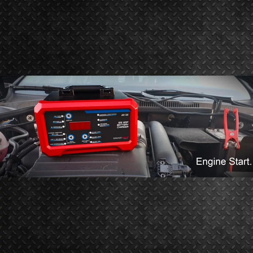 SMARTECH 6-Volt/12-Volt Shelf Automotive Battery Charger, Maintainer SBC-125