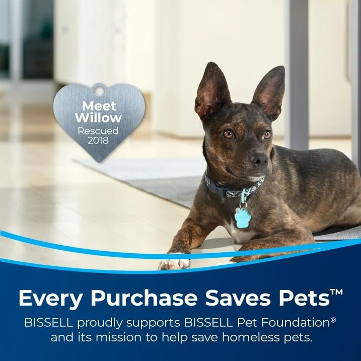 BissellPet - Little Green Multi-Purpose Portable Carpet and Upholstery Cleaner, Car and Auto Detailer, with Exclusive Specialty Tools, Silver