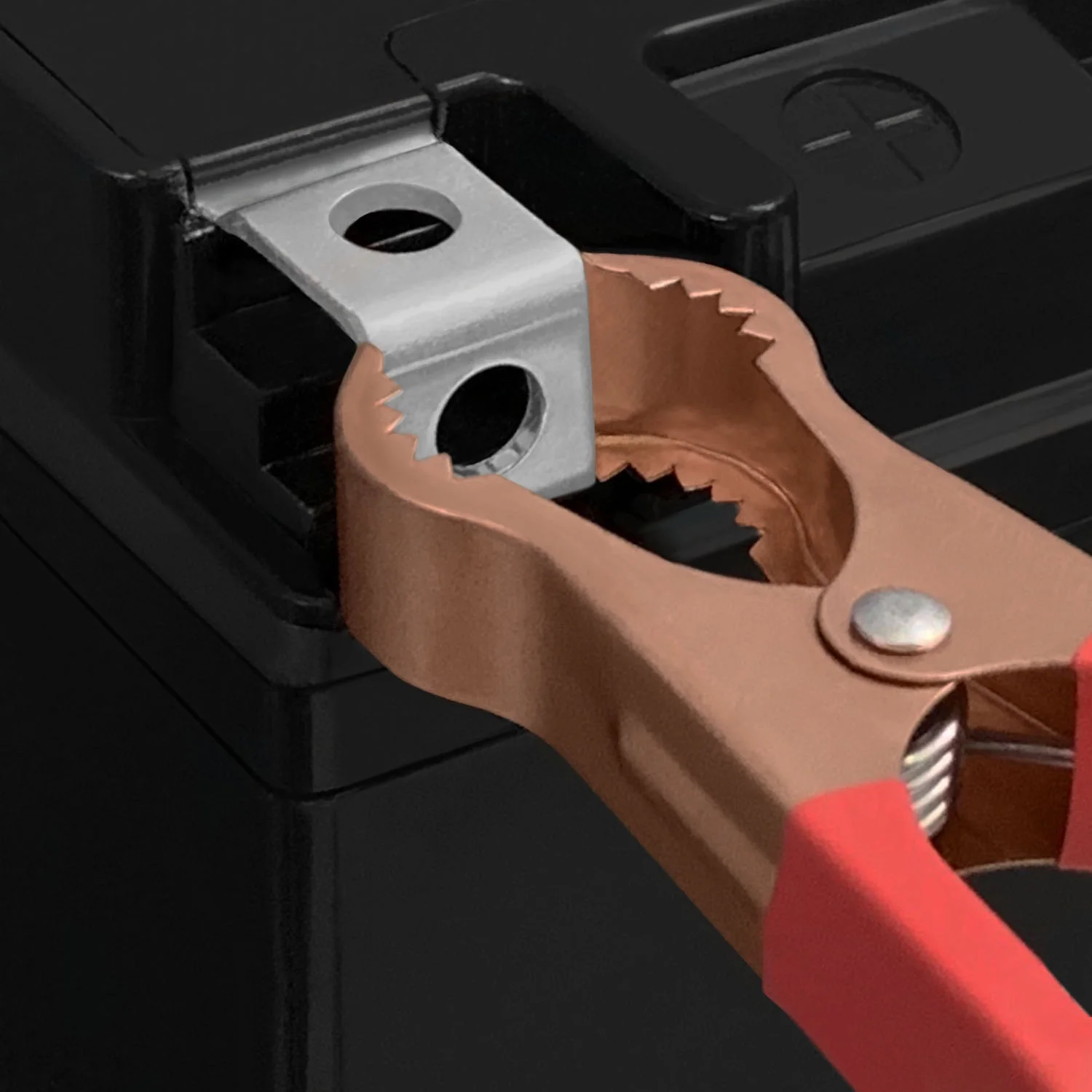 YTZ10S Battery Replaces Champion Exide YTZ10S + 12V 2Amp Charger