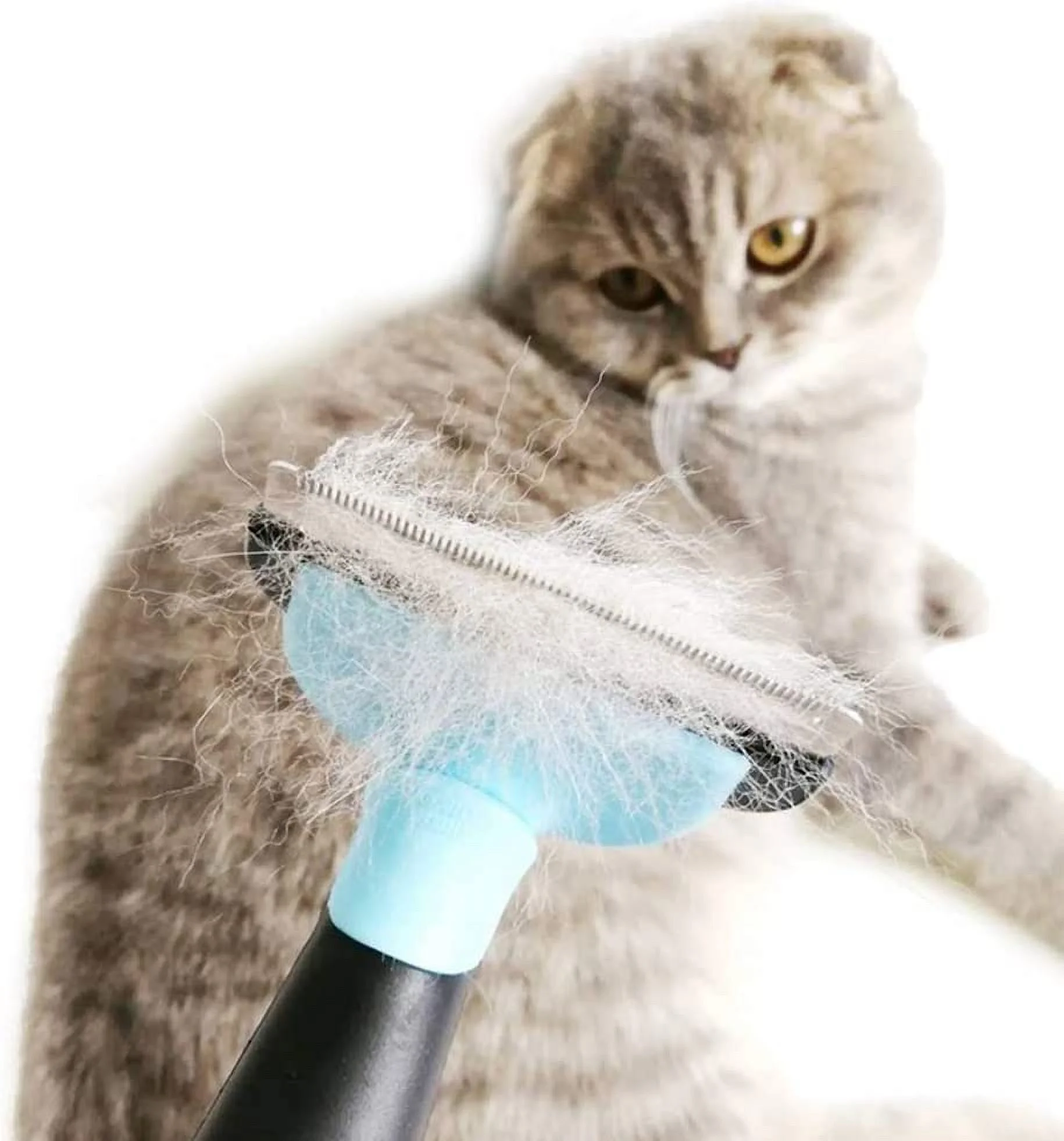 FRIGIDAIRE 316282103 ELEMENT - GENUINE OEM PART