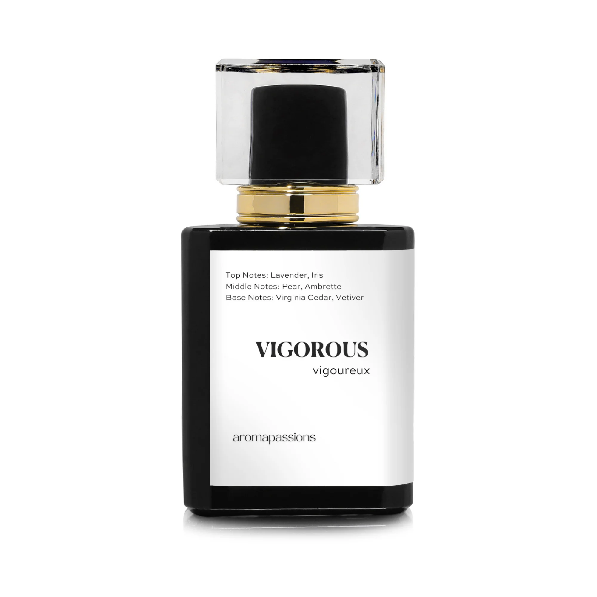 VIGOROUS | Inspired by Dior HOMME | Pheromone Perfume for Men | Extrait De Parfum | Long Lasting Dupe Knockoff Perfume Cologne