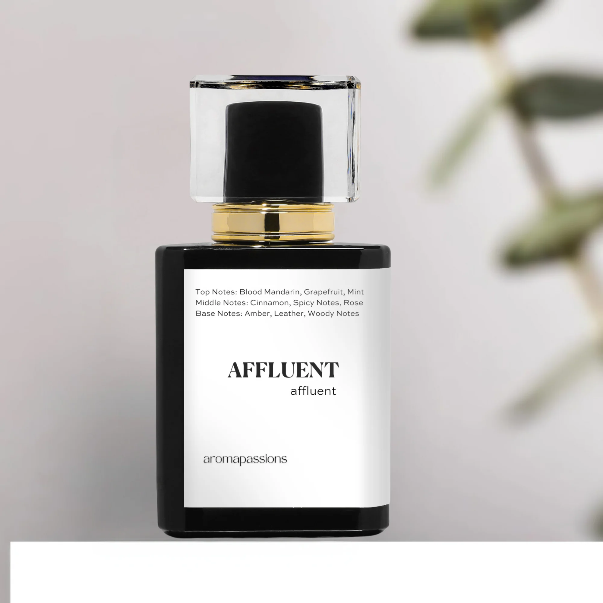AFFLUENT | Inspired by Paco Rabanne One MILLION | Pheromone Perfume for Men | Extrait De Parfum | Long Lasting Dupe Clone Perfume Cologne