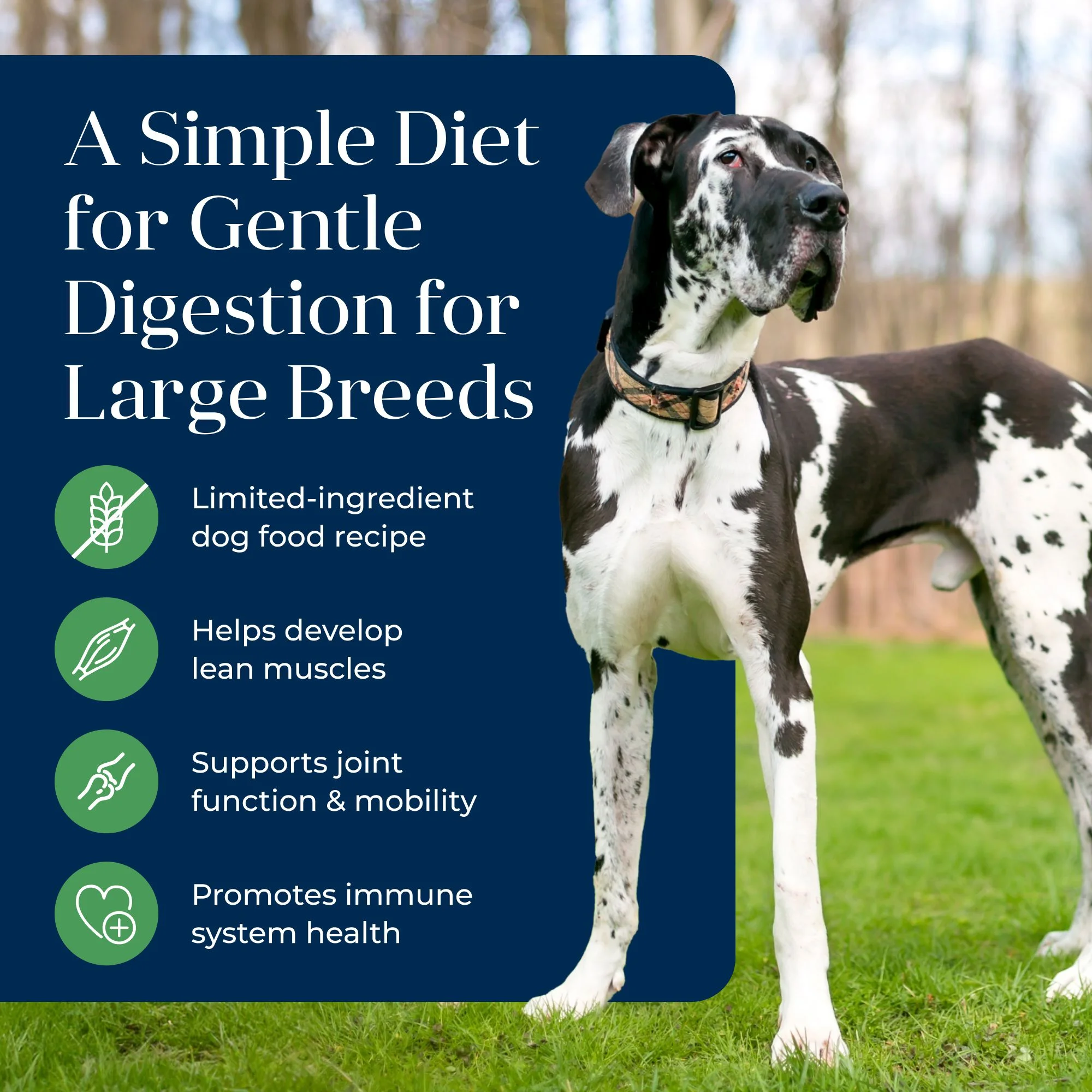 Blue Buffalo Basics Large Breed Grain-Free Dry Dog Food, Lamb & Potato Recipe, 22-lb. Bag