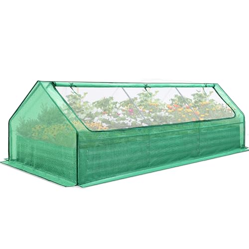 Quictent Raised Garden Bed Galvanized Raised Beds for Gardening Vegetables with Cover 8x4x1 ft Metal Planter Box Outdoor Use (Clear)