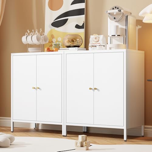 2 Door Metal Accent Storage Cabinet for Bedroom, Living Room,Bedside, Office Room,Kitchen-Metal Locker Cabinet with 1 Adjustable Shelves-2-Tier (Small 2 Door Cabinet, red)