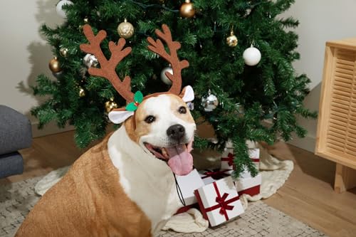 Midlee Brown Reindeer Dog Antlers Headband Pet Christmas Costume - Large