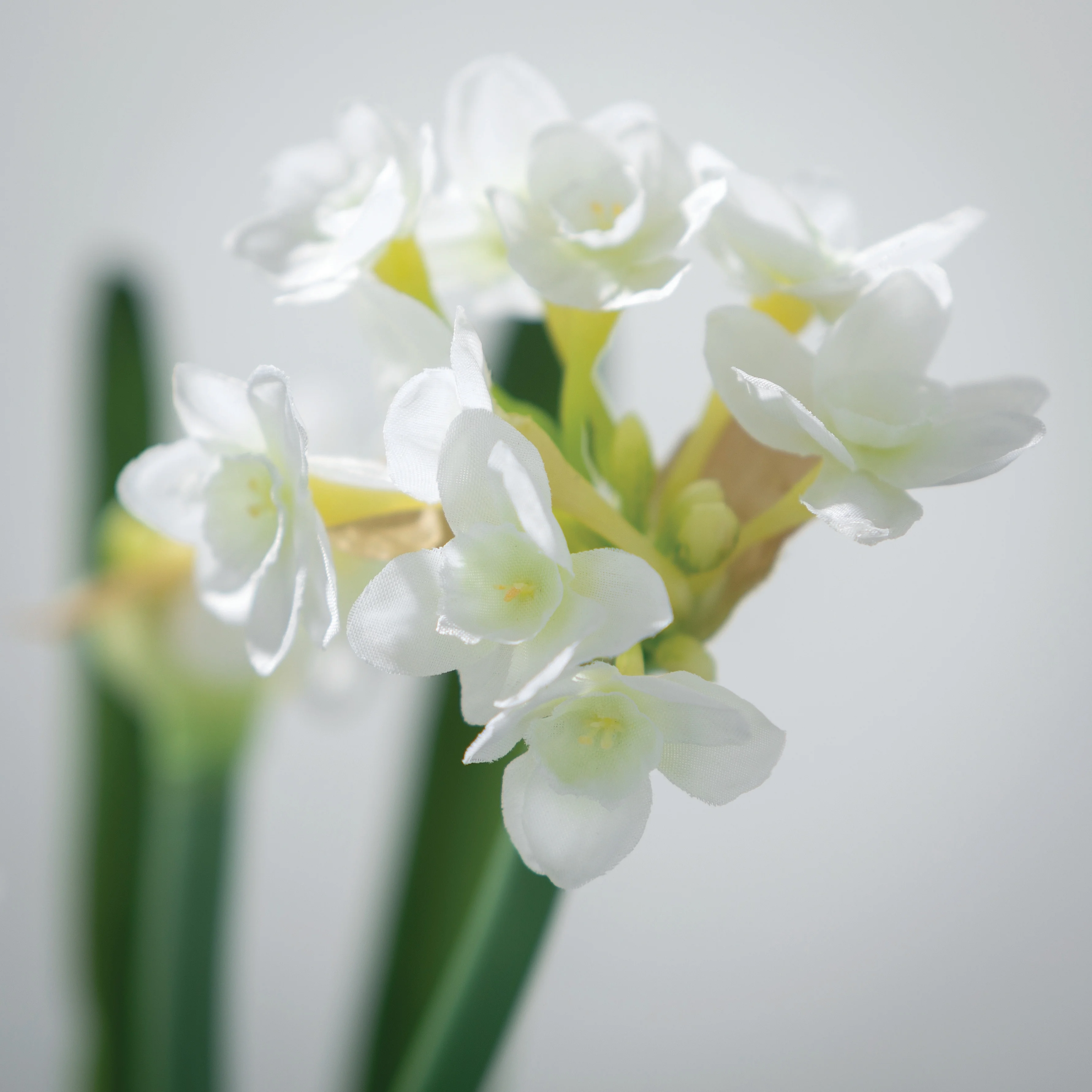 Sullivans Artificial Paperwhite With Bulb Stem 20