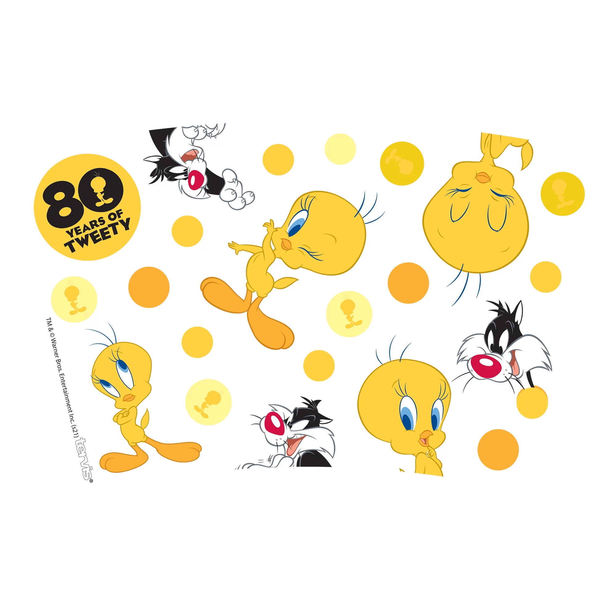 Tervis Warner Brothers Tweety 80th Anniversary Made in USA Double Walled  Insulated Tumbler Travel Cup Keeps Drinks Cold & Hot, 16oz, Classic