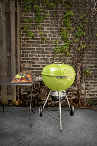 Weber Master-Touch 22