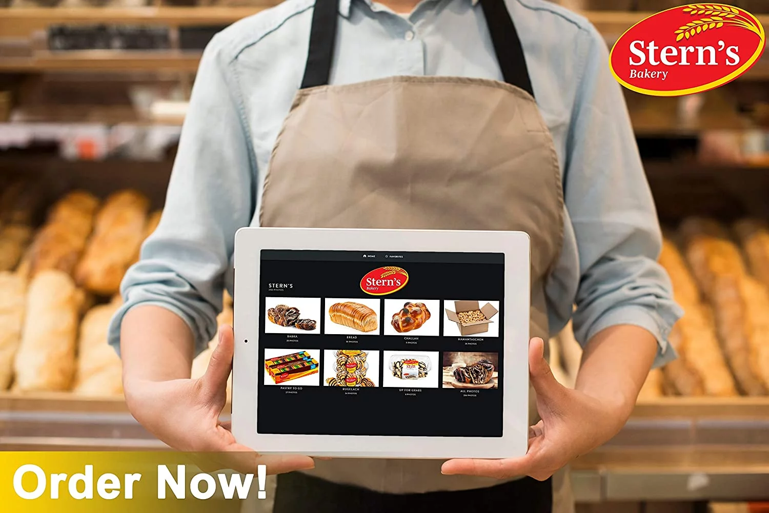 Rainbow Cookie Gift Basket | 12 Individually Wrapped Italian Rainbow Cookies | Prime Delivery | Christmas, Thanksgiving, Birthdays | Men Women Colleagues | Dairy & Nut Free | Kosher | Stern’s Bakery