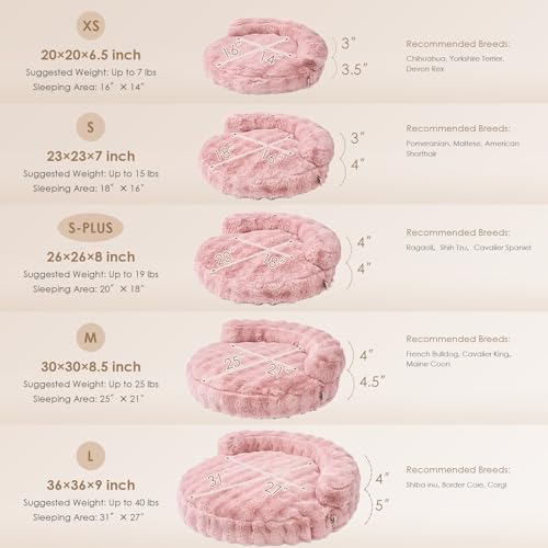 EHEYCIGA Small Dog Bed and Cat Couch for Puppy and Kitten - Fluffy Faux Rabbit Fur Pet Sofa with Washable Removable Cover, Waterproof and Non-Slip, 23 Inch Cream