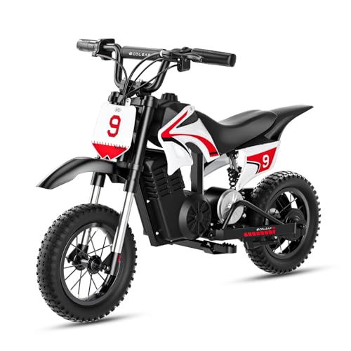 36V Kids Electric Dirt Bike 700W Peak Motorcycle,16MPH Fast Speed 10Mile Long-Range,3-Speed Modes Electric Bike for Kids Ages 3-10