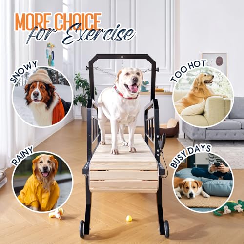 Albott Dog Treadmill for Large & Medium Dogs with Pace Adjustbable Brake and Roller Wheels, Enlarged Indoor Slatmill for Dogs to Keep Fit and Healthy, Up to 330 Lbs