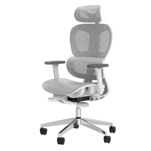 Ergonomic Mesh Office Chair with 3D Adjustable Armrest,Plastic Frame High Back Desk Computer Chair Ergo3d Ergonomic Office Chair with Wheels for Home & Office Black