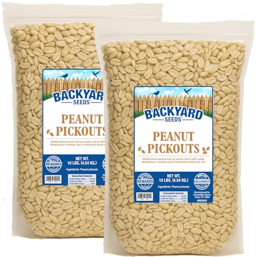 CountryMax Backyard Seeds Shelled Whole Peanuts for Woodpeckers, Birds, Squirrels & Wildlife – Premium Wild Animal Food, 10 lbs Bag