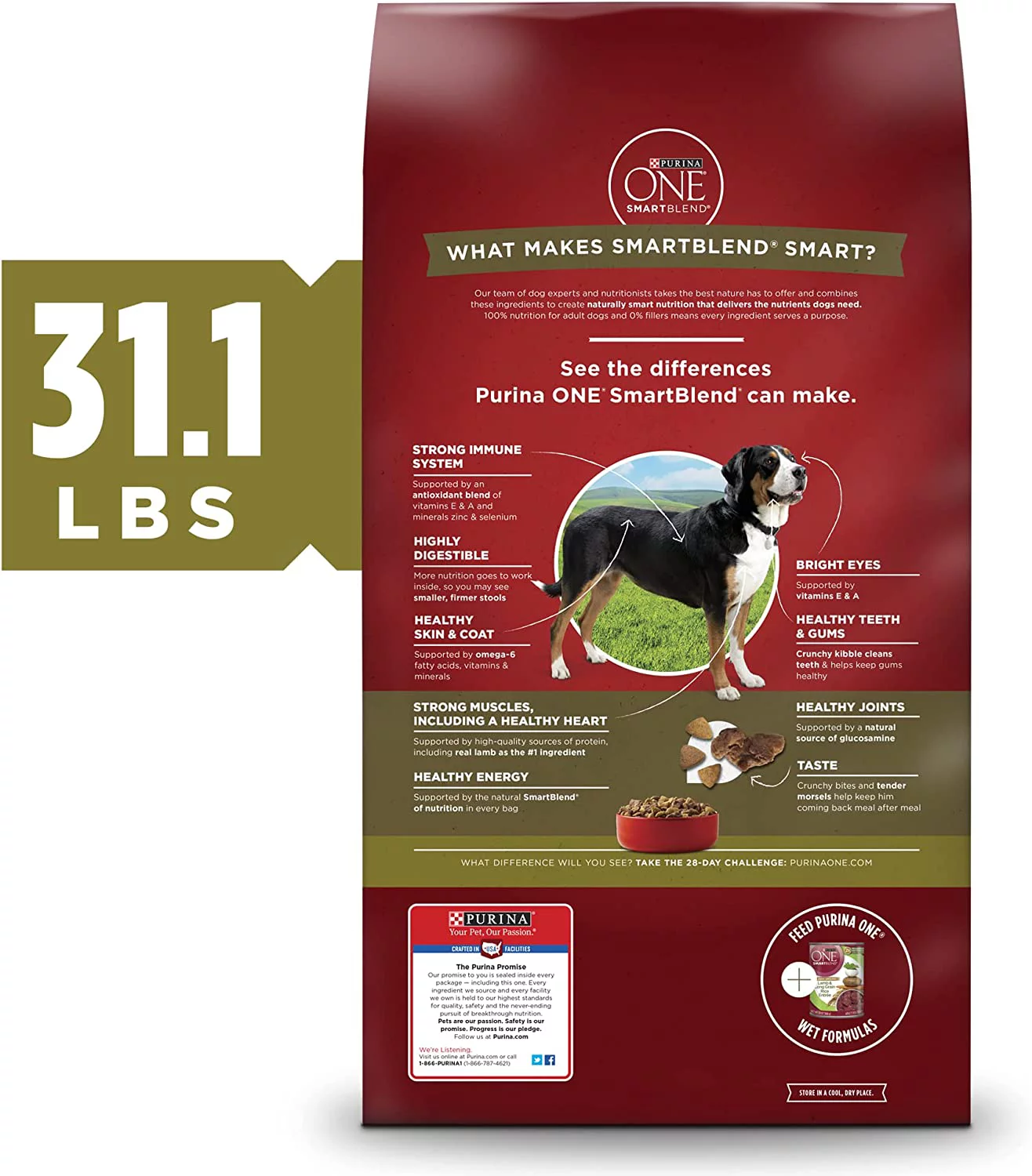 Purina ONE SmartBlend Natural Adult Lamb & Rice Dry Dog Food