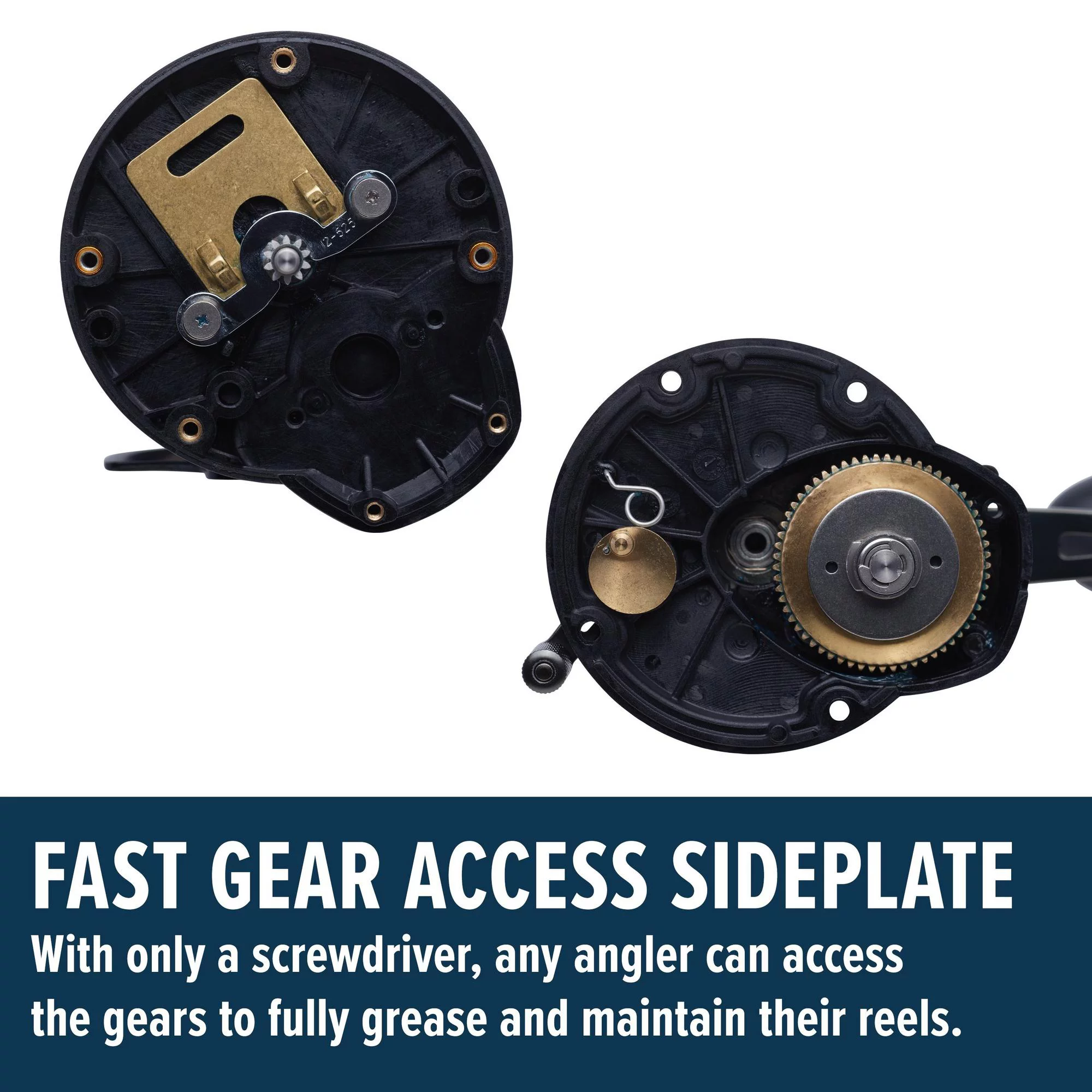 PENN 7' Squall II Level Wind Conventional Combo, Reel Size 20