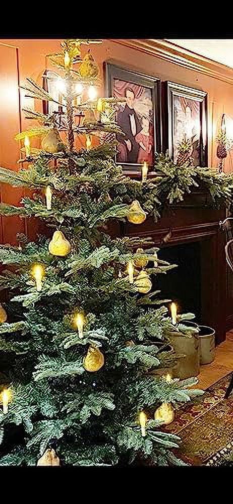 Country Faux Pears Lot Of Six