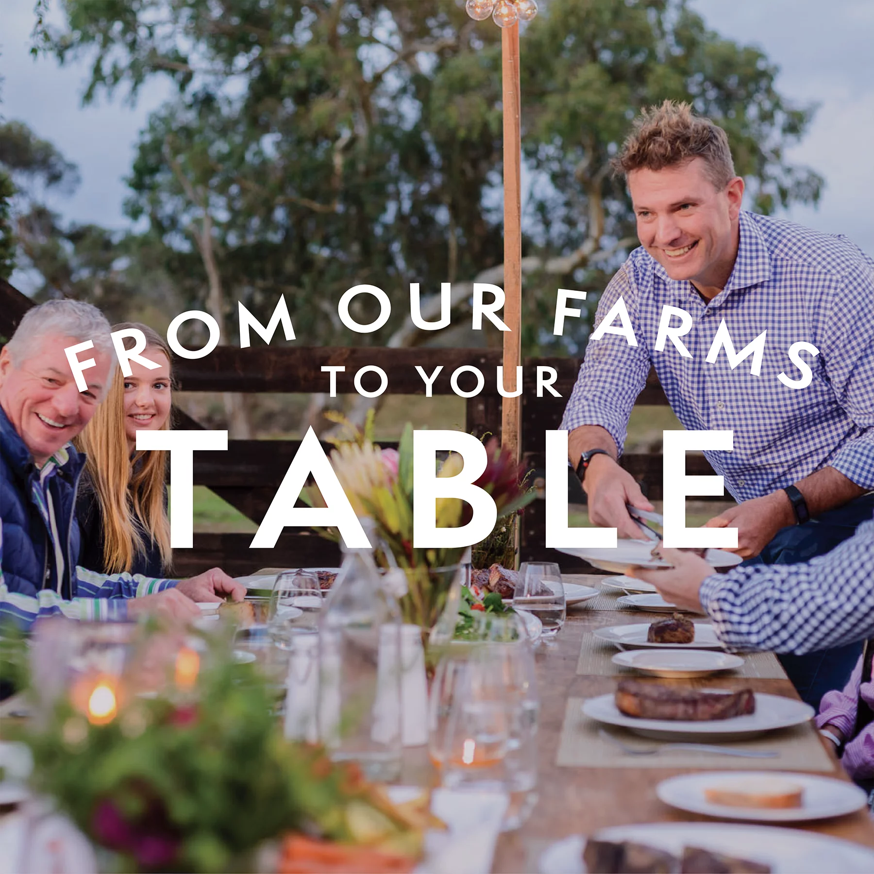 Thomas Farms Grass Fed Ground Beef 85/15, Twelve 1lb Packages