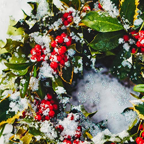 Hallmark Boxed Christmas Cards, Snowy Wreath (40 Cards and Envelopes)