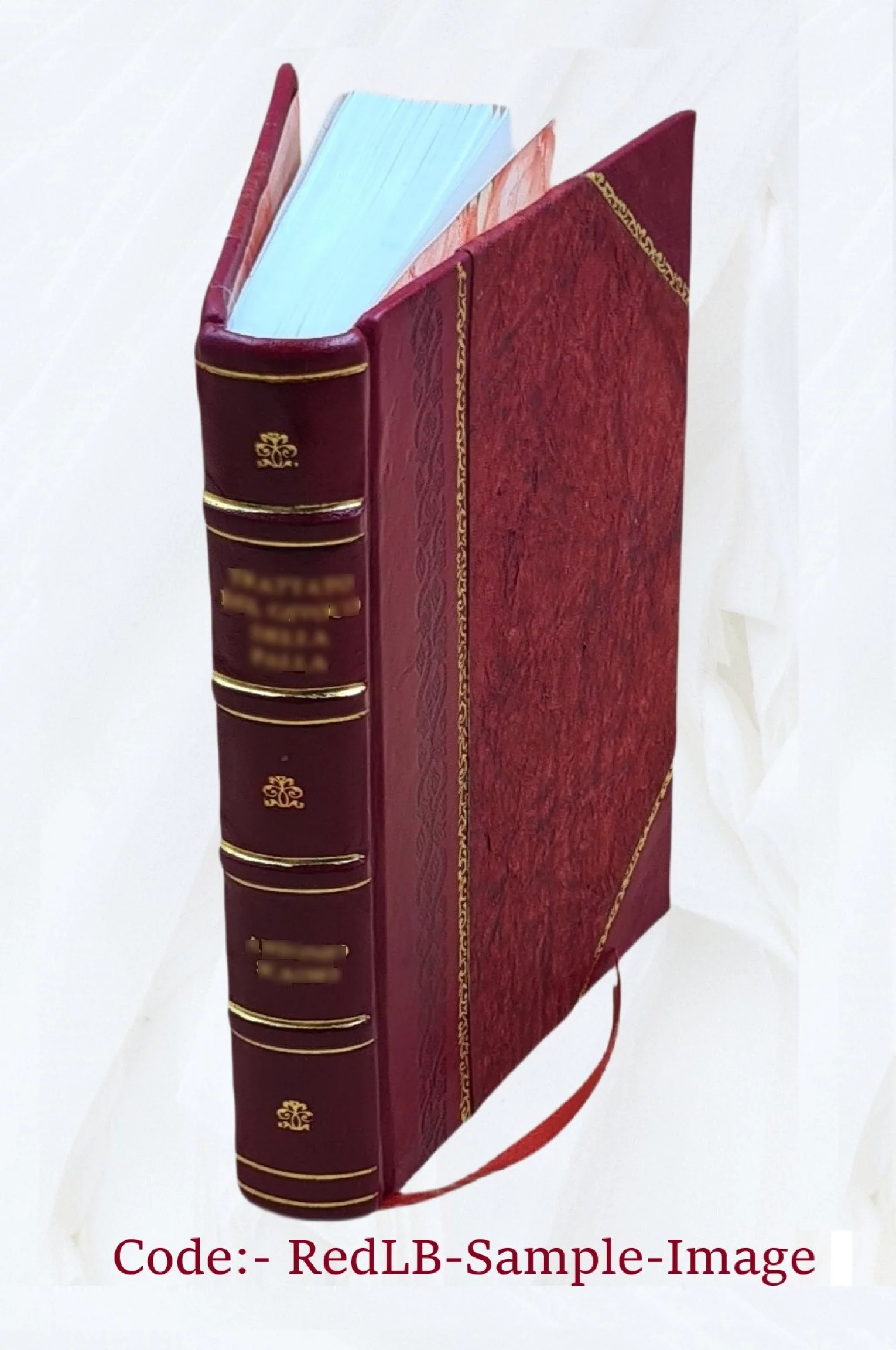 New Amsterdam gazette. Volume v.7-8 1891-1895 1895 [Leather Bound]