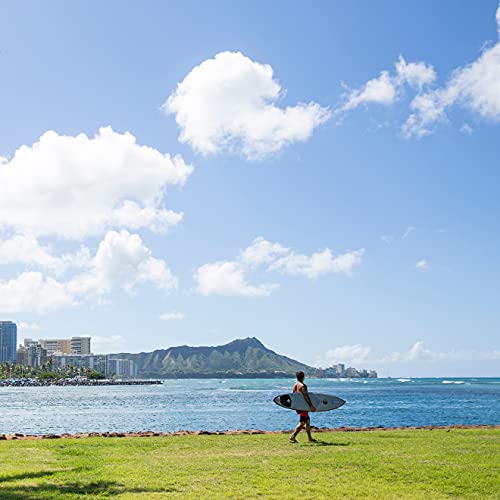 Reef Men's Cushion Phantom Flip Flop