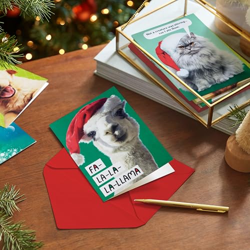 Hallmark Shoebox Funny Boxed Christmas Cards (24 Cards and 24 Envelopes) Dog, Cat, Llama, Reindeer