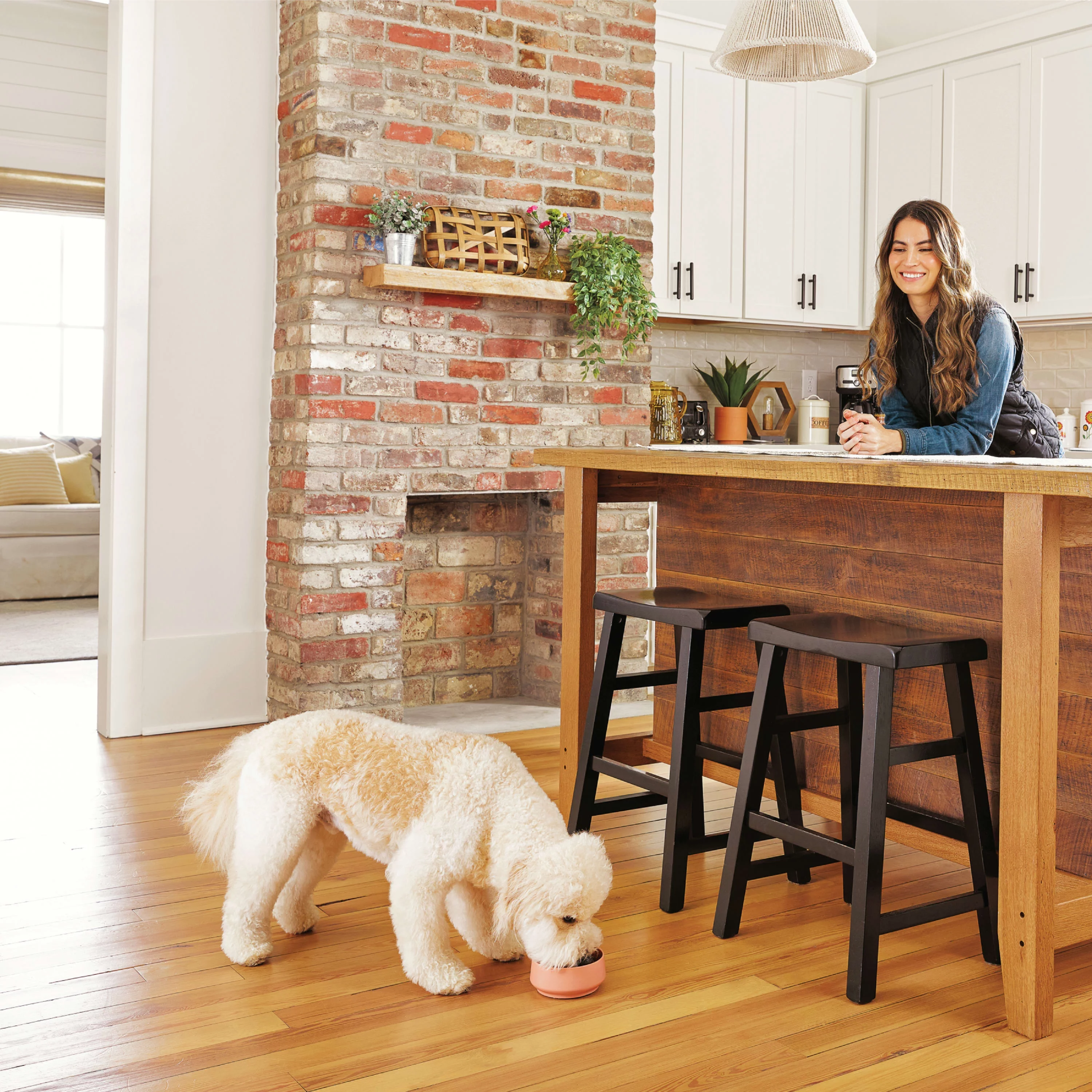 Nutro Natural Choice Lamb and Brown Rice Recipe Dry Dog Food, 30 lb Bag