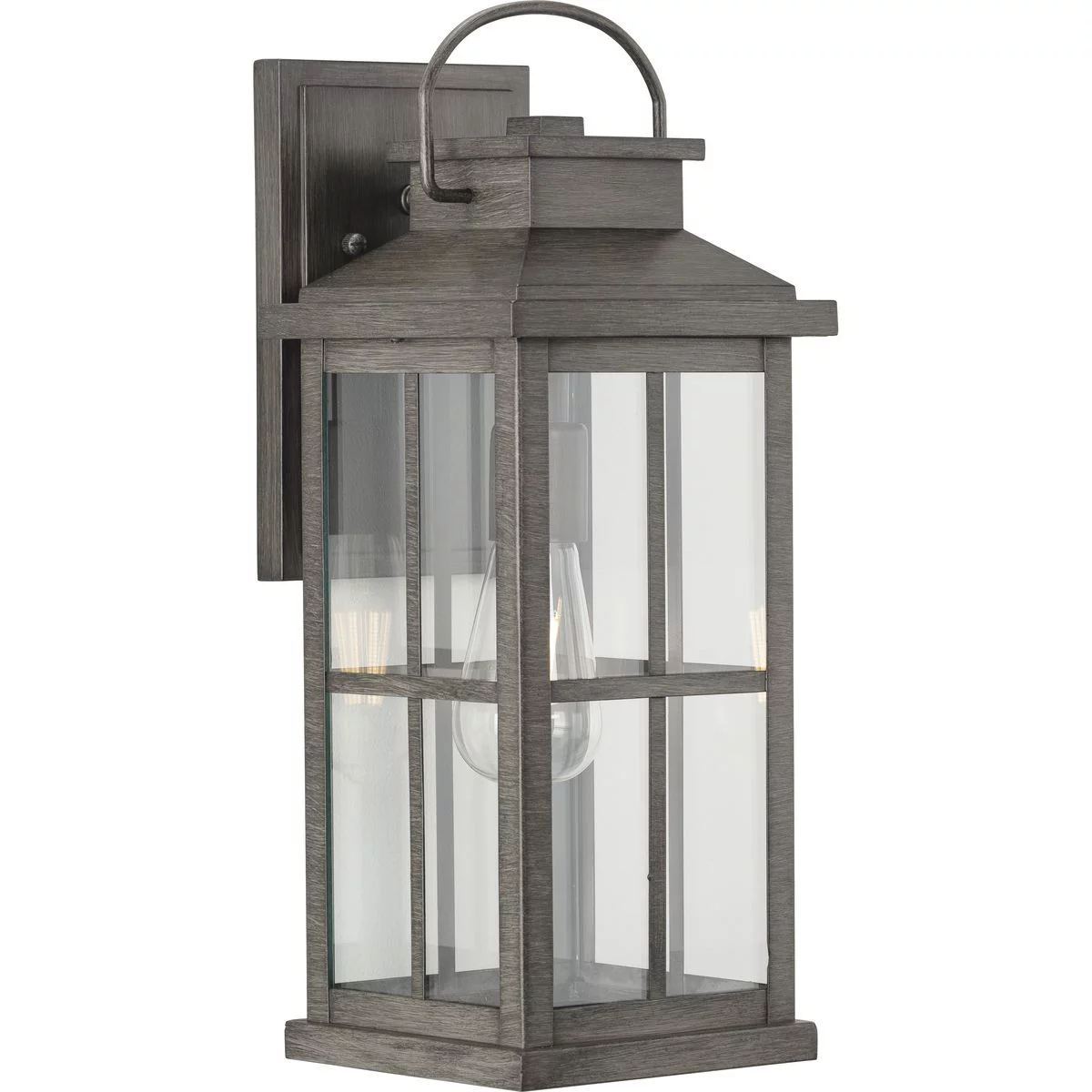 Williamston Collection One-Light Antique Pewter and Clear Glass Transitional Style Large Outdoor Wall Lantern