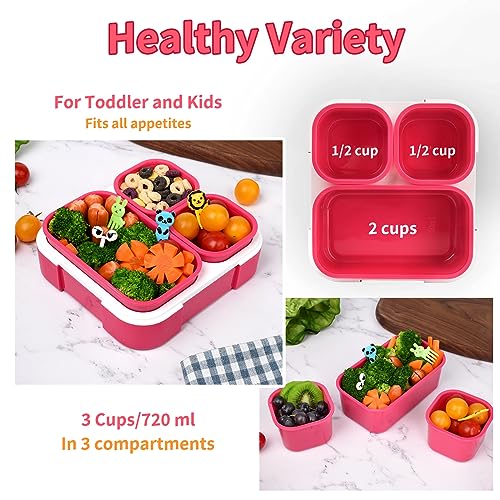Genteen 2 Pack Bento Box for Kids, 3-Compartment Toddler Lunch Box, BPA-Free Snack Portion Containers (Dark Pink + Purple)