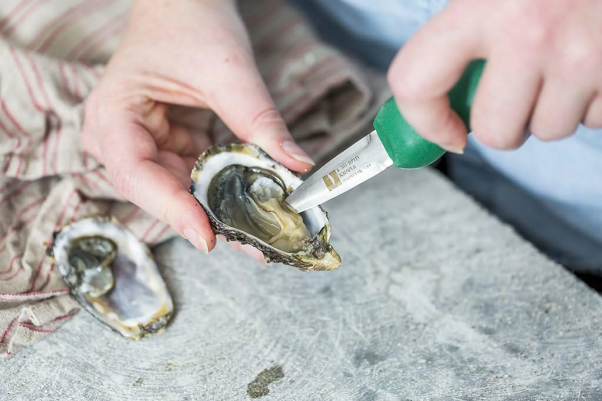 Duxbury Oyster Knife - As Seen In Bon Appetit Magazine - Shellfish Seafood Clam Shucker Tool - Made In