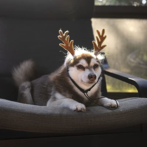 Midlee Furry Antlers Dog Headband