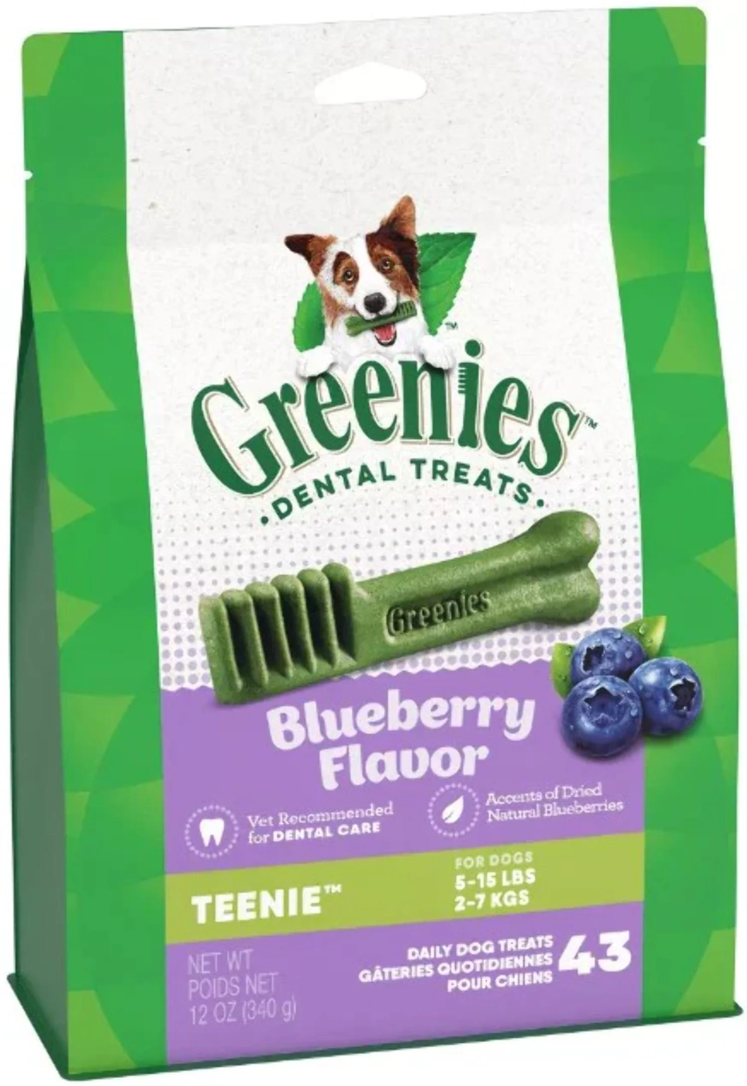 Greenies Blueberry Flavor Dental Treats for Dogs, 12 oz Pouch