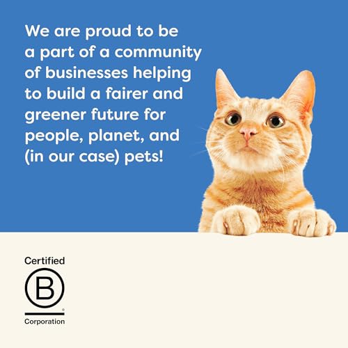 Applaws Natural Wet Cat Food in Gravy, Limited and Natural Ingredients, High Protein with No Artificial Additives, Fish Selection in Gravy (24 x 2.47oz Cans)