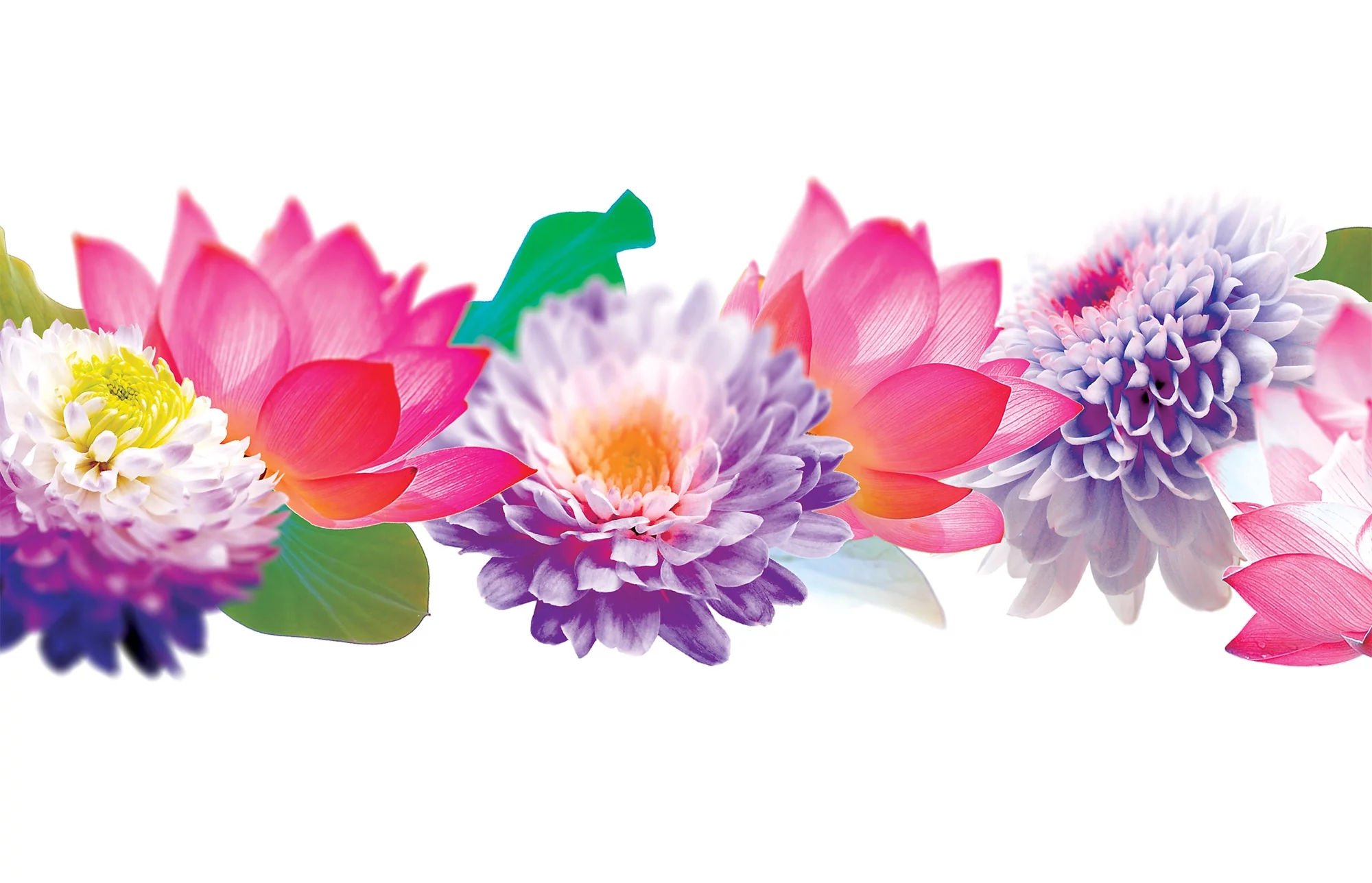 Tervis Floral Filter Made in USA Double Walled  Insulated Tumbler Travel Cup Keeps Drinks Cold & Hot, 16oz Mug, Clear